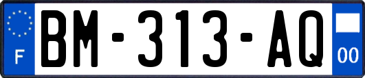 BM-313-AQ