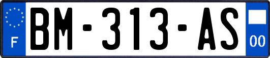 BM-313-AS