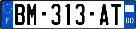 BM-313-AT