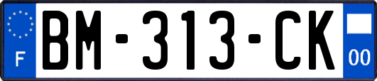 BM-313-CK