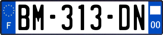 BM-313-DN