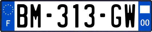 BM-313-GW