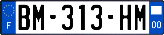 BM-313-HM