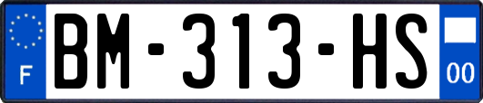 BM-313-HS