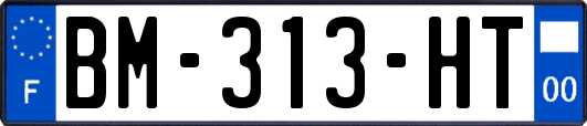 BM-313-HT