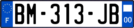 BM-313-JB