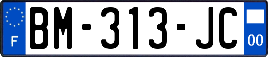 BM-313-JC