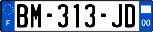BM-313-JD