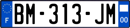 BM-313-JM