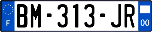 BM-313-JR