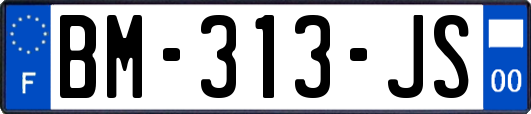 BM-313-JS