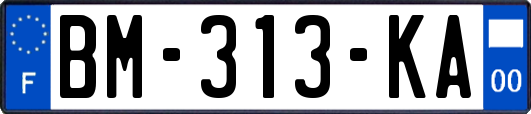BM-313-KA
