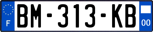 BM-313-KB