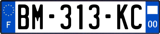 BM-313-KC