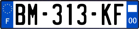 BM-313-KF