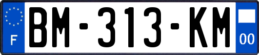 BM-313-KM