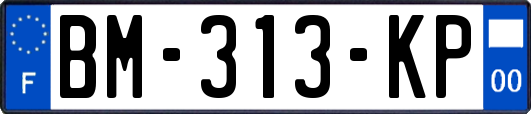 BM-313-KP