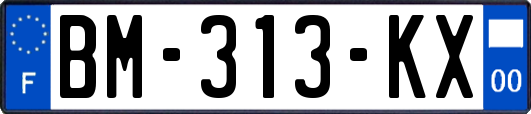 BM-313-KX