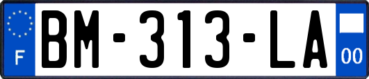 BM-313-LA