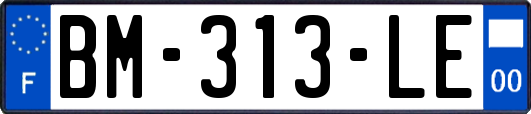 BM-313-LE