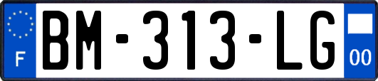 BM-313-LG