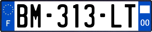 BM-313-LT