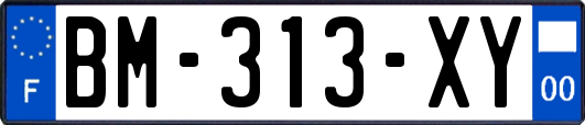 BM-313-XY