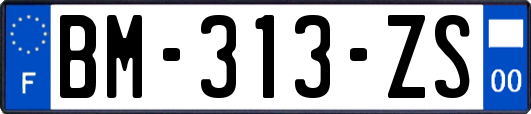 BM-313-ZS