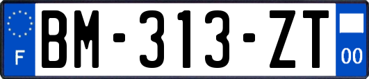 BM-313-ZT