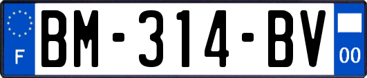 BM-314-BV