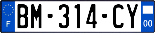 BM-314-CY