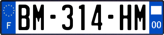 BM-314-HM