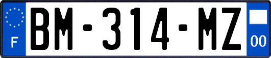 BM-314-MZ