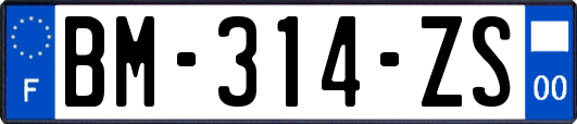 BM-314-ZS