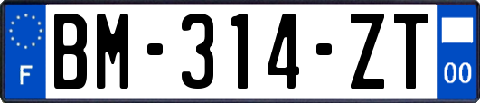 BM-314-ZT