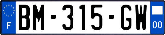 BM-315-GW