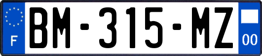 BM-315-MZ