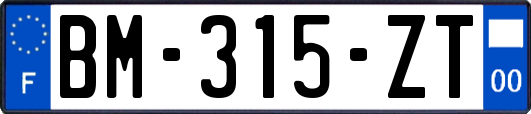 BM-315-ZT