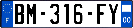 BM-316-FY