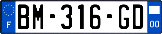 BM-316-GD
