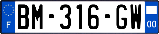 BM-316-GW