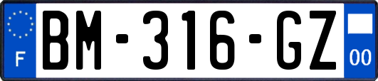 BM-316-GZ