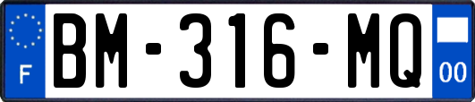 BM-316-MQ