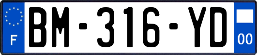 BM-316-YD