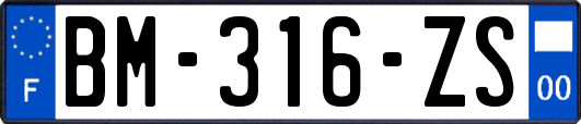 BM-316-ZS