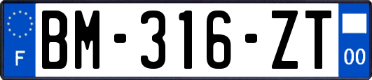 BM-316-ZT