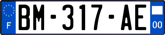 BM-317-AE