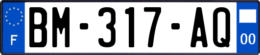 BM-317-AQ