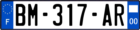 BM-317-AR