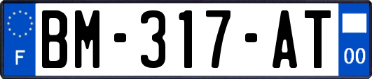 BM-317-AT